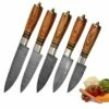 Hand Forged Damascus Steel Chef's Knife Set Of 5 Kitchen Gift Knives -KNIFE IMPORT Sales SKCKS5 BR 11